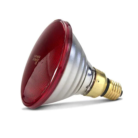 Bainbridge Red Infrared Heat Bulb