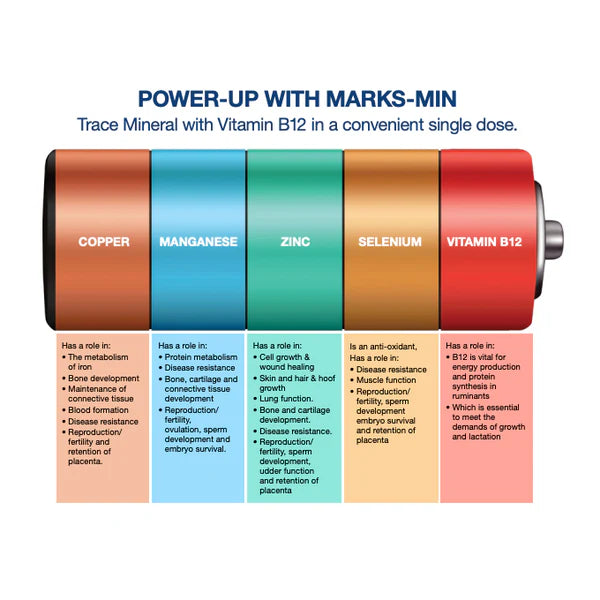 Marks-Min Injectable Trace Mineral with Vitamin B12 for Cattle