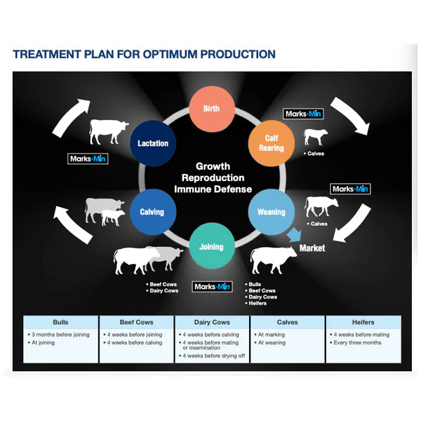 Marks-Min Injectable Trace Mineral with Vitamin B12 for Cattle