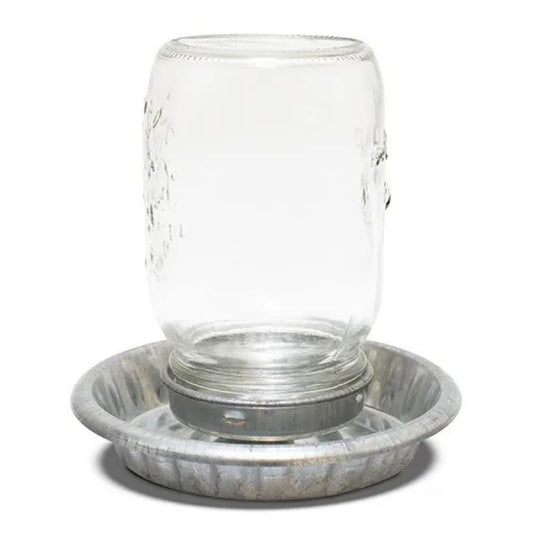 Bainbridge Galvanised Chick Drinker/Glass Jar – 1 Litre