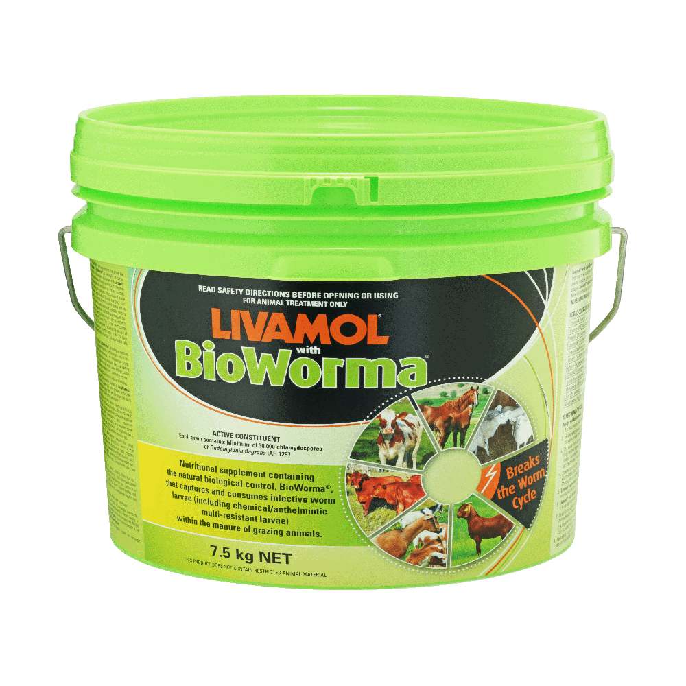 Livamol with Bioworma