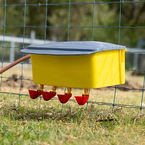 Automatic Poultry Waterer