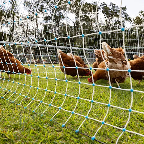 Electric Poultry Netting