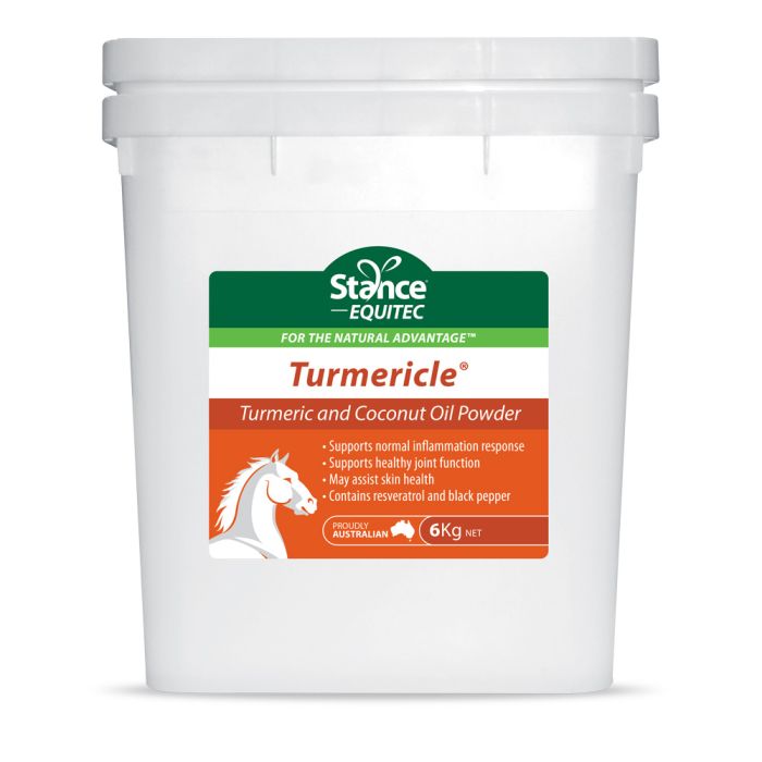 Equitec Turmericle