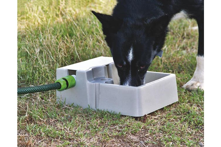 Automatic dog hot sale waterer