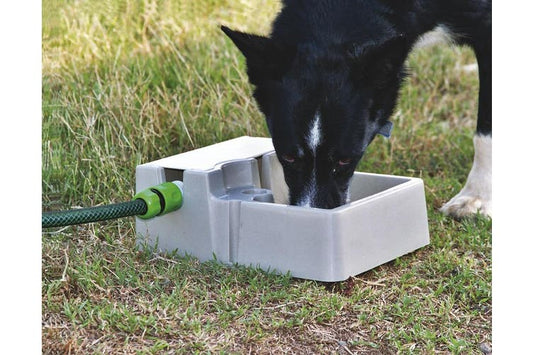 Automatic Pet Drinker