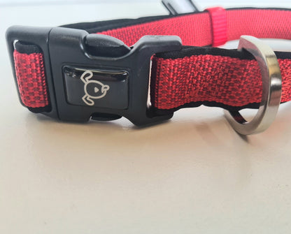 Premium Nylon Dog Collars with Neoprene