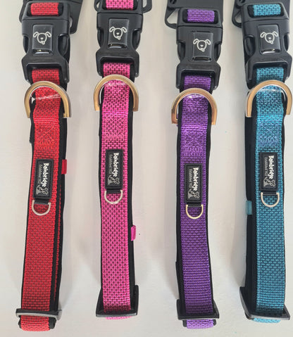 Premium Nylon Dog Collars with Neoprene