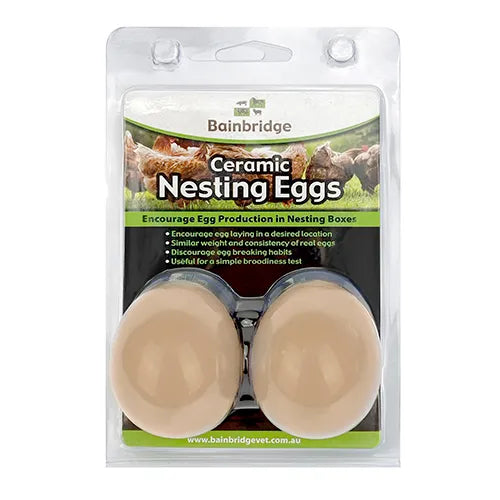 Ceramic Poultry Nesting Eggs- 2 Pack
