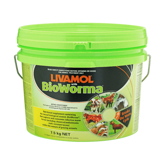 Livamol with Bioworma