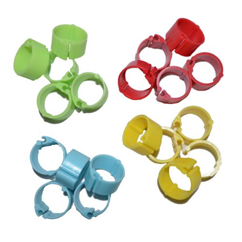 Poultry Leg Bands- Various Colours and Sizes