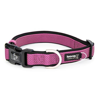 Premium Nylon Dog Collars with Neoprene